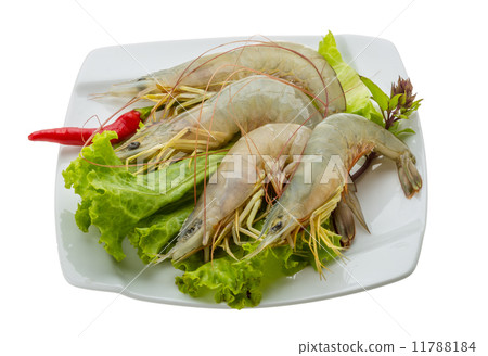 Raw tiger shrimps 11788184