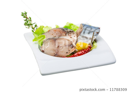 Mackerels Mackerels 11788309