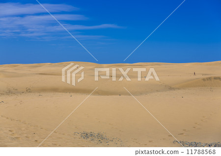 Maspalomas Duna - Desert in Canary island Gran Canaria 11788568