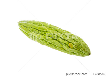 Bitter melon Bitter melon 11788582