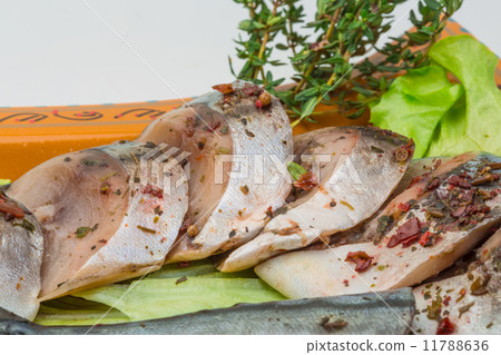 Mackerels Mackerels 11788636