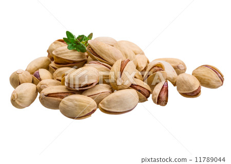 Pistachio 11789044