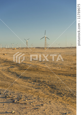 Wind farm Wind farm 11789075