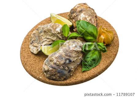 Fresh oyster 11789107