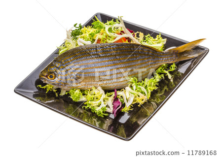 Salema porgy - sarpa fish Salema porgy - sarpa fish 11789168