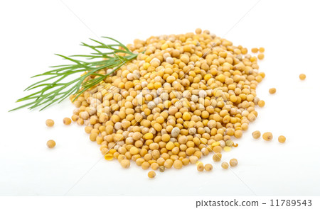 Mustard seeds heap Mustard seeds heap 11789543