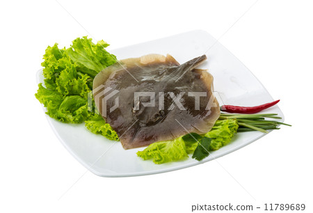 Raw Batoidea 11789689