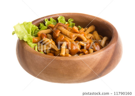 agaric honey at plate 11790160