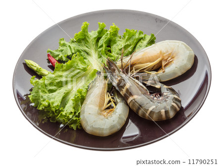 King and waterleg shrimps 11790251