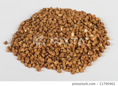 buckwheat 11790462