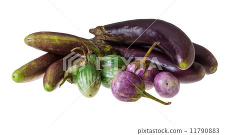 Asian egg-plant assortie Asian egg-plant assortie 11790883