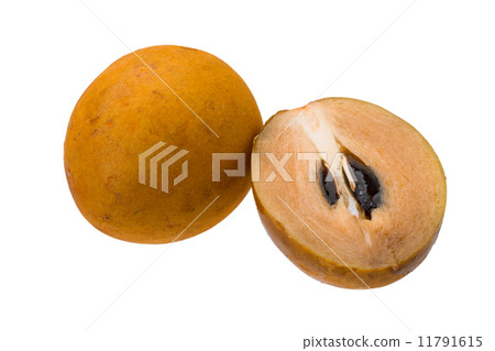Sapodilla Sapodilla 11791615