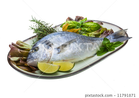 Fresh raw dorada Fresh raw dorada 11791871