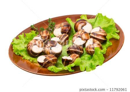 Escargot Escargot 11792061