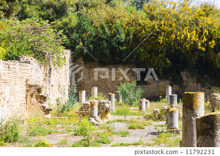 Old Carthage ruins 11792231