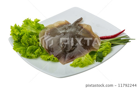 Raw Batoidea 11792244