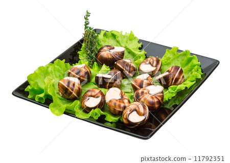 Escargot Escargot 11792351