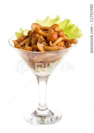 agaric honey at plate agaric honey at plate 11792480