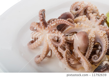 Boiled octopus Boiled octopus 11792639