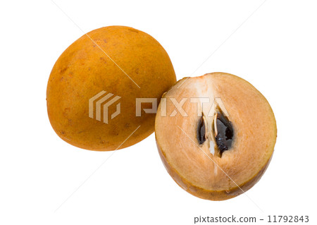 Sapodilla Sapodilla 11792843