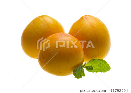 Bright ripe plum with mint Bright ripe plum with mint 11792994