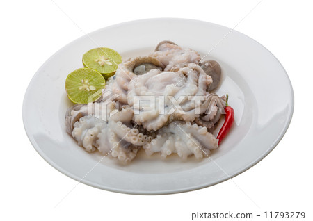 Raw octopus Raw octopus 11793279