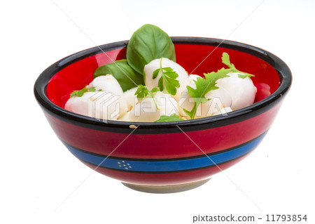 Mozzarella with herbs 11793854