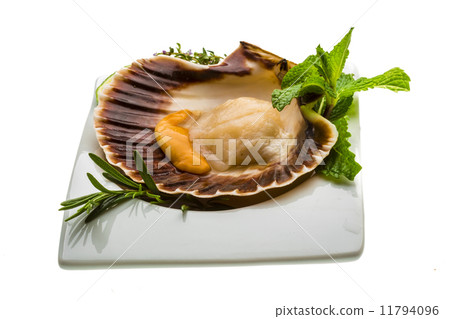 Scallop with asparagus, lime, mint and rosemary 11794096