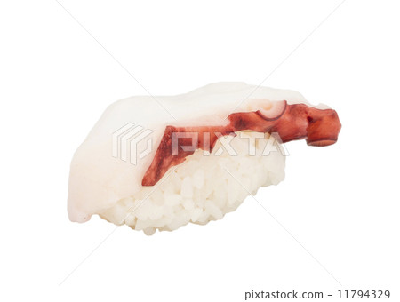 Japanese sushi with meat octopus on a white background 11794329