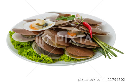 Raw fresh scallops 11794502