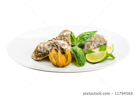 Fresh oyster Fresh oyster 11794568