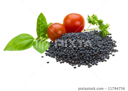 Black lentils 11794756