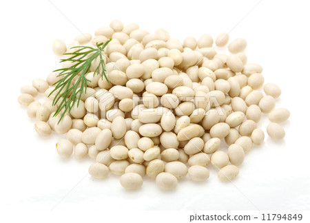 White dry beans White dry beans 11794849