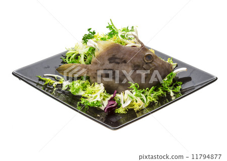 Fish Pesce San Pietro 11794877