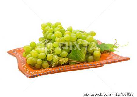 Green bright grape Green bright grape 11795025