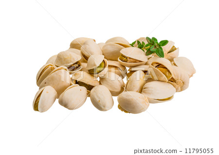 Pistachio Pistachio 11795055