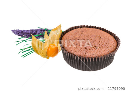 Muffin 11795090