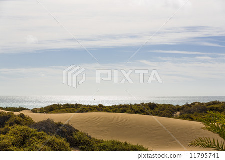 Maspalomas Duna - Desert in Canary island Gran Canaria 11795741