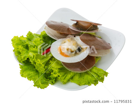 Raw fresh scallops 11795831