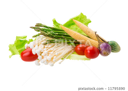 Japan mushroom, asparagus, egg-plant, baby-corn and salad 11795890