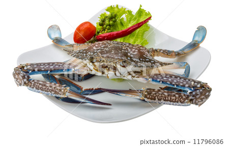 Raw blue crab 11796086