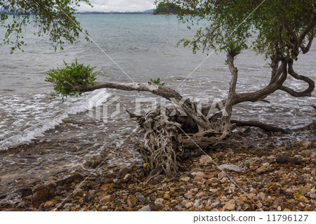 Ko Samet Arhipelageo Ko Samet Arhipelageo 11796127