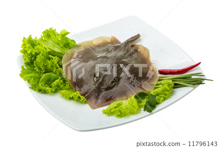 Raw Batoidea Raw Batoidea 11796143