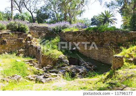 Old Carthage ruins Old Carthage ruins 11796177
