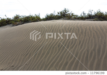 Maspalomas Duna - Desert in Canary island Gran Canaria 11796199