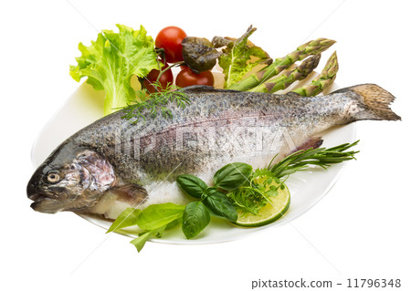 Fresh raw rainbow trout Fresh raw rainbow trout 11796348