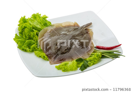 Raw Batoidea 11796368