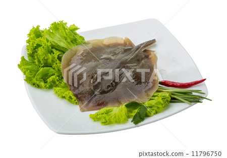 Raw Batoidea Raw Batoidea 11796750