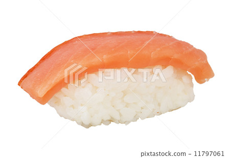 salmon sushi with white background 11797061