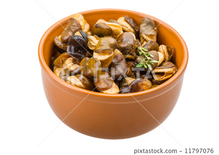 Broad beans 11797076